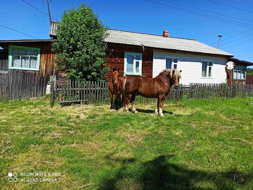 Международный экологический конкурс «Берегите природу!»  - детский рисунок, поделка, творческая работа, категория дошкольники, детский сад, дистанционный конкурс, школьный конкурс