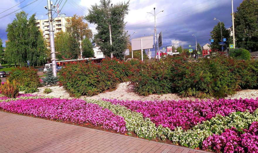 Международный творческий конкурс «Оранжевое лето»  - детский рисунок, поделка, творческая работа, категория взрослые, дистанционный конкурс, школьный конкурс