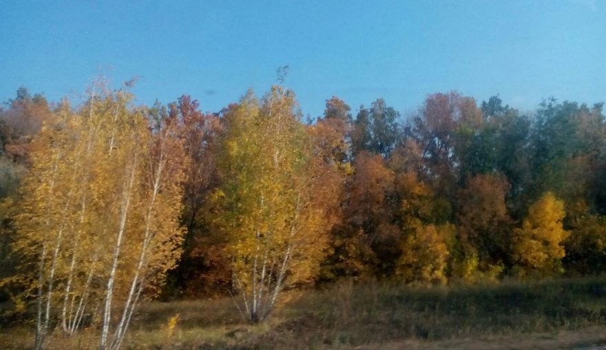 Международный творческий конкурс «Есть в осени первоначальной...»  - детский рисунок, поделка, творческая работа, категория школьники, 5 класс, дистанционный конкурс, школьный конкурс