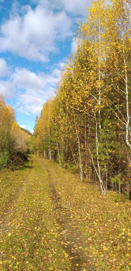 Международный творческий конкурс «Есть в осени первоначальной...»  - детский рисунок, поделка, творческая работа, категория школьники, 5 класс, дистанционный конкурс, школьный конкурс