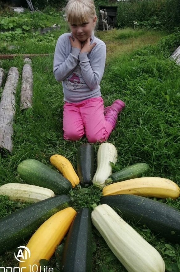 Международный творческий конкурс «Праздник урожая»  - детский рисунок, поделка, творческая работа, категория школьники, 1 класс, дистанционный конкурс, школьный конкурс