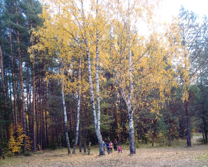 Международный творческий конкурс «Осенняя пора»  - детский рисунок, поделка, творческая работа, категория школьники, 5 класс, дистанционный конкурс, школьный конкурс