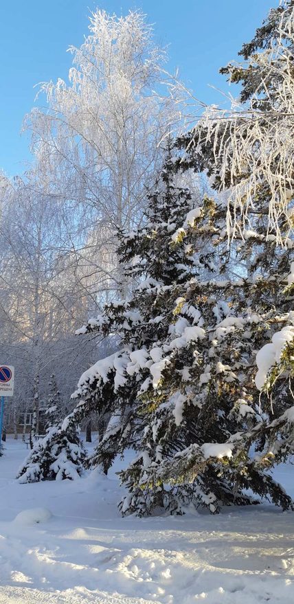 Международный творческий конкурс «Рукодельница-зима»  - детский рисунок, поделка, творческая работа, категория школьники, 1 класс, дистанционный конкурс, школьный конкурс