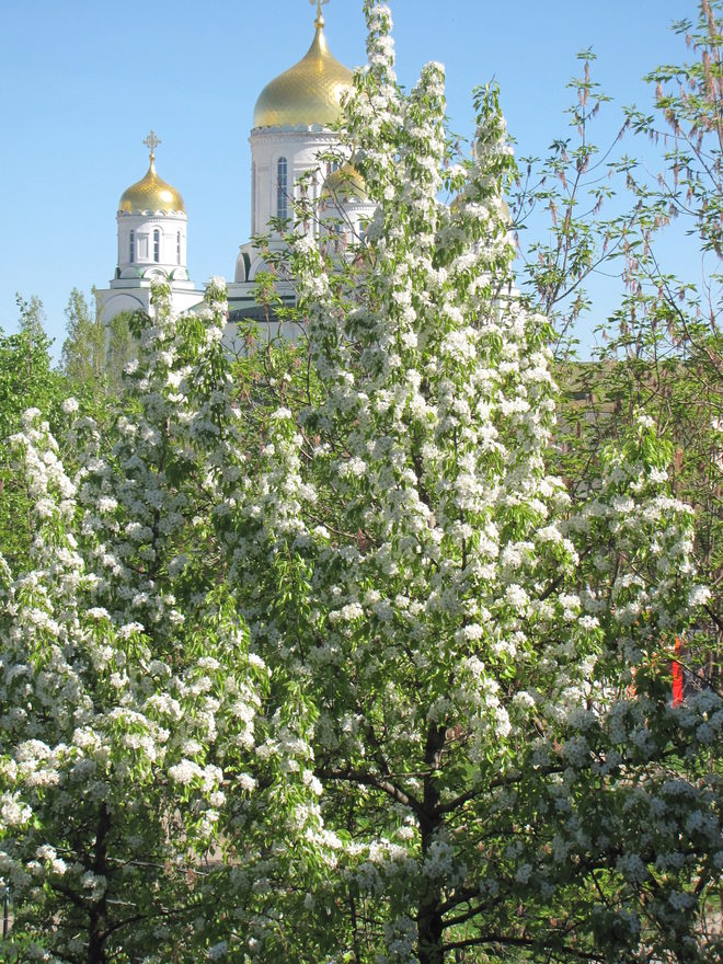 Международный творческий конкурс «Весенние мотивы»  - детский рисунок, поделка, творческая работа, категория школьники, 3 класс, дистанционный конкурс, школьный конкурс