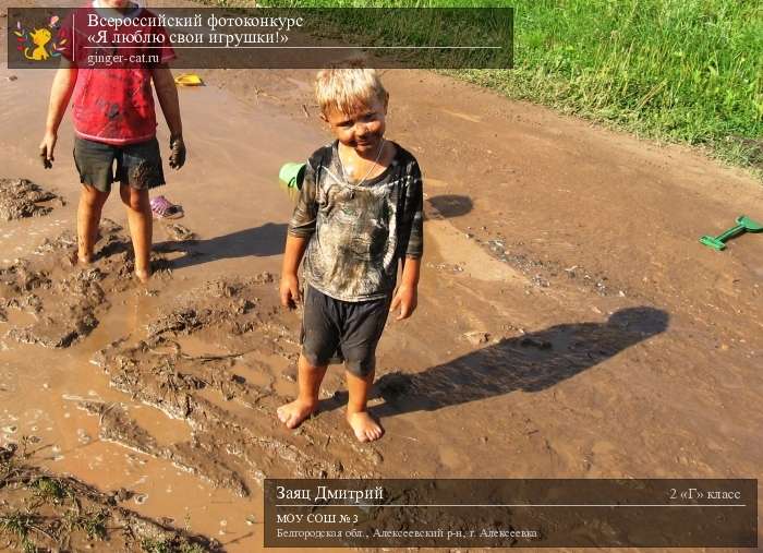 Всероссийский фотоконкурс «Я люблю свои игрушки!»  - детский рисунок, поделка, творческая работа, категория школьники, 2 класс, дистанционный конкурс, школьный конкурс