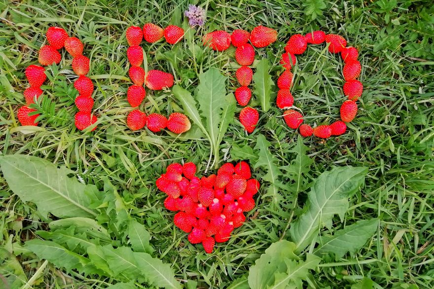 Международный творческий конкурс «Летняя пора»  - детский рисунок, поделка, творческая работа, категория школьники, 1 класс, дистанционный конкурс, школьный конкурс