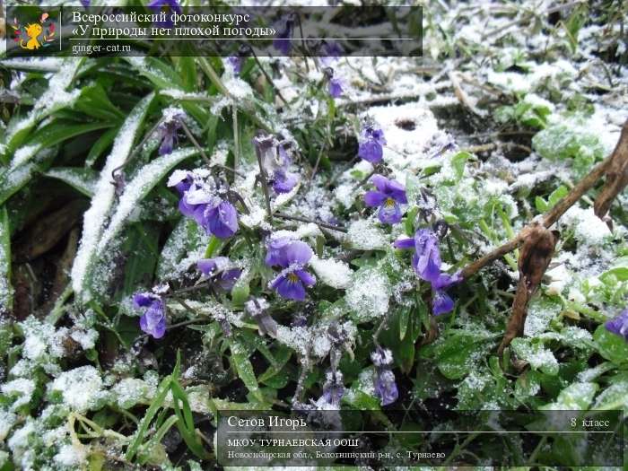 Всероссийский фотоконкурс «У природы нет плохой погоды»  - детский рисунок, поделка, творческая работа, категория школьники, 8 класс, дистанционный конкурс, школьный конкурс