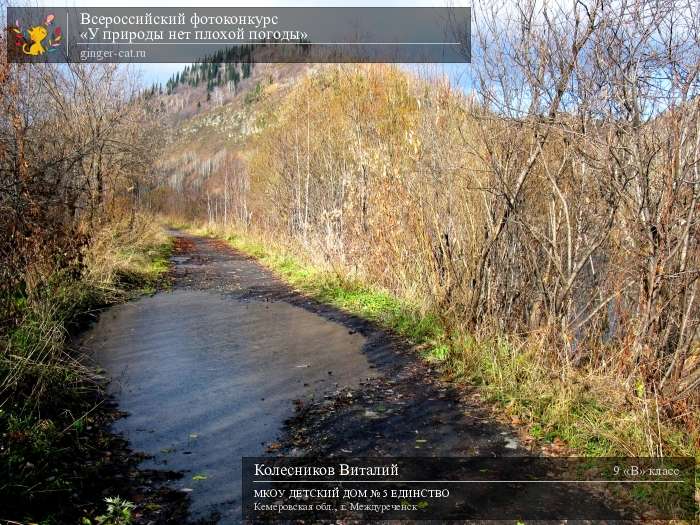 Всероссийский фотоконкурс «У природы нет плохой погоды»  - детский рисунок, поделка, творческая работа, категория школьники, 9 класс, дистанционный конкурс, школьный конкурс