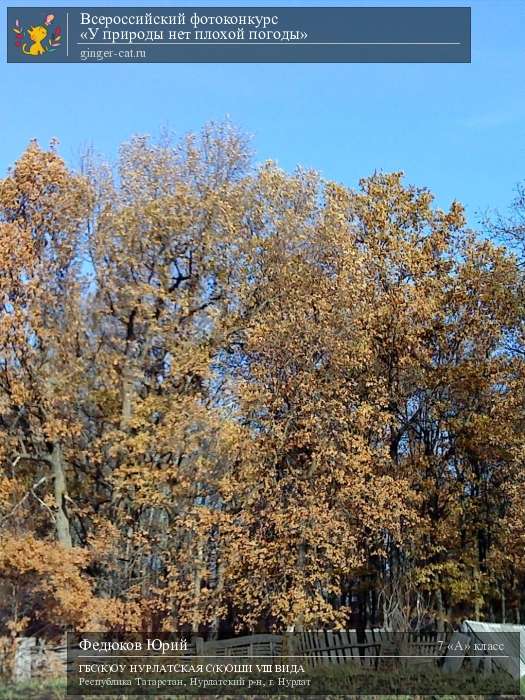 Всероссийский фотоконкурс «У природы нет плохой погоды»  - детский рисунок, поделка, творческая работа, категория школьники, 7 класс, дистанционный конкурс, школьный конкурс