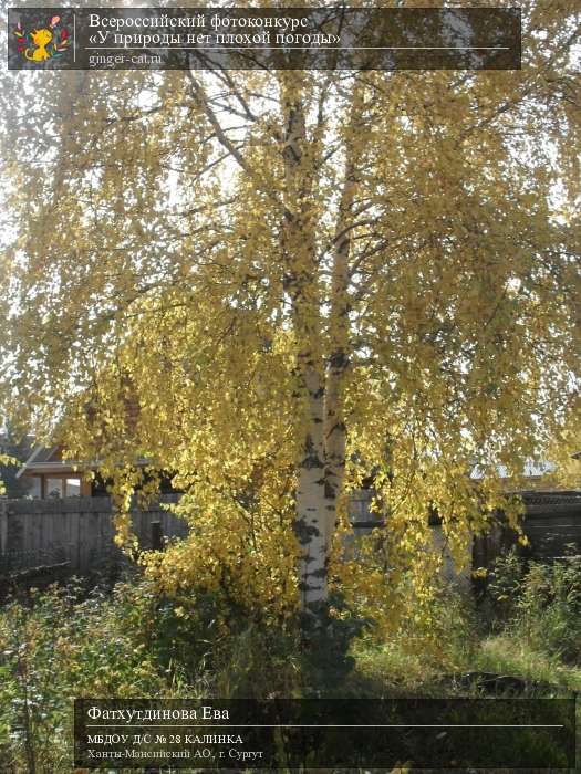 Всероссийский фотоконкурс «У природы нет плохой погоды»  - детский рисунок, поделка, творческая работа, категория дошкольники, детский сад, дистанционный конкурс, школьный конкурс