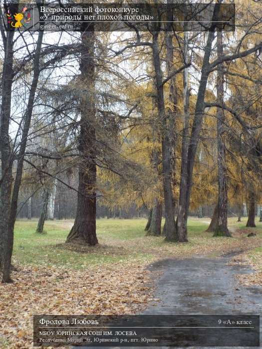 Всероссийский фотоконкурс «У природы нет плохой погоды»  - детский рисунок, поделка, творческая работа, категория школьники, 9 класс, дистанционный конкурс, школьный конкурс