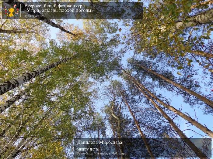 Всероссийский фотоконкурс «У природы нет плохой погоды»  - детский рисунок, поделка, творческая работа, категория дошкольники, детский сад, дистанционный конкурс, школьный конкурс