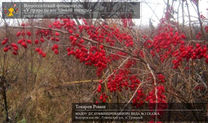 Всероссийский фотоконкурс «У природы нет плохой погоды»  - детский рисунок, поделка, творческая работа, категория дошкольники, детский сад, дистанционный конкурс, школьный конкурс