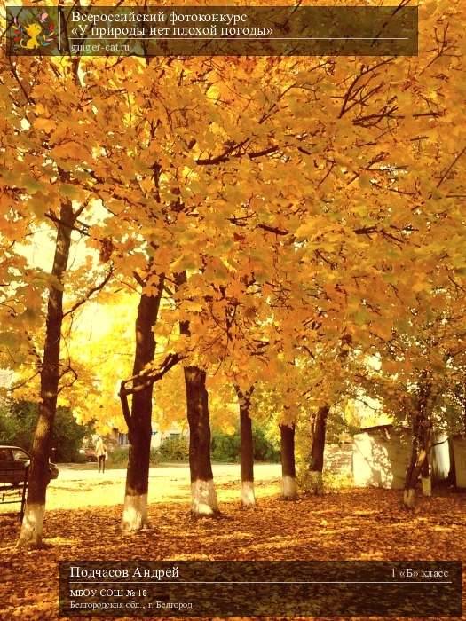 Всероссийский фотоконкурс «У природы нет плохой погоды»  - детский рисунок, поделка, творческая работа, категория школьники, 1 класс, дистанционный конкурс, школьный конкурс