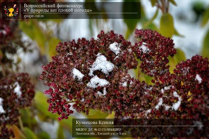 Всероссийский фотоконкурс «У природы нет плохой погоды»  - детский рисунок, поделка, творческая работа, категория дошкольники, детский сад, дистанционный конкурс, школьный конкурс