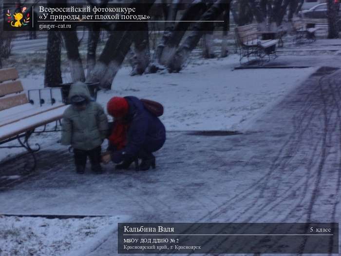 Всероссийский фотоконкурс «У природы нет плохой погоды»  - детский рисунок, поделка, творческая работа, категория школьники, 5 класс, дистанционный конкурс, школьный конкурс