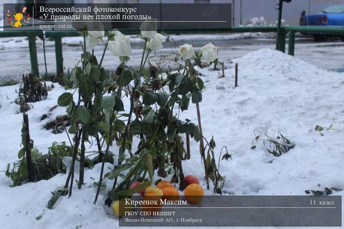 Всероссийский фотоконкурс «У природы нет плохой погоды»  - детский рисунок, поделка, творческая работа, категория школьники, 11 класс, дистанционный конкурс, школьный конкурс