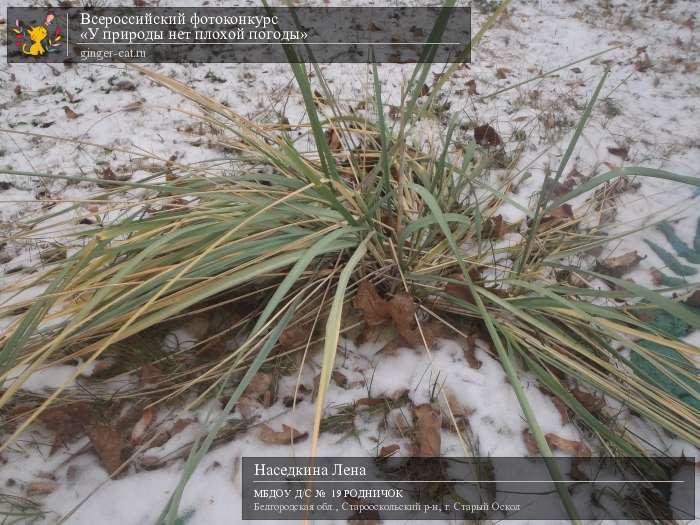 Всероссийский фотоконкурс «У природы нет плохой погоды»  - детский рисунок, поделка, творческая работа, категория дошкольники, детский сад, дистанционный конкурс, школьный конкурс