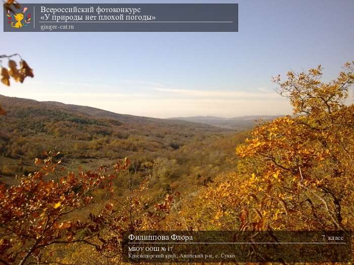 Всероссийский фотоконкурс «У природы нет плохой погоды»  - детский рисунок, поделка, творческая работа, категория школьники, 7 класс, дистанционный конкурс, школьный конкурс