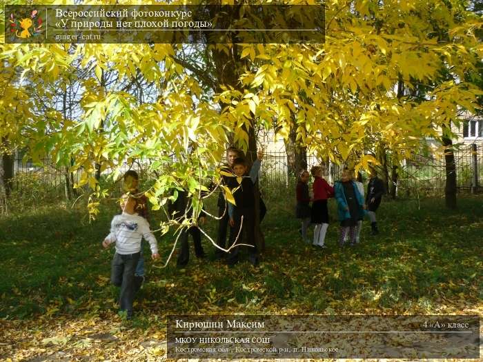 Всероссийский фотоконкурс «У природы нет плохой погоды»  - детский рисунок, поделка, творческая работа, категория школьники, 4 класс, дистанционный конкурс, школьный конкурс