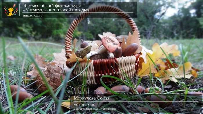 Всероссийский фотоконкурс «У природы нет плохой погоды»  - детский рисунок, поделка, творческая работа, категория дошкольники, детский сад, дистанционный конкурс, школьный конкурс