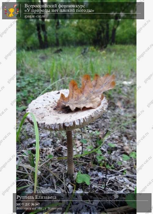 Всероссийский фотоконкурс «У природы нет плохой погоды»  - детский рисунок, поделка, творческая работа, категория дошкольники, детский сад, дистанционный конкурс, школьный конкурс