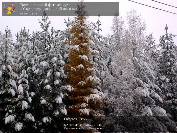 Всероссийский фотоконкурс