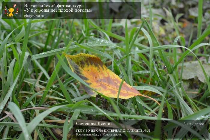 Всероссийский фотоконкурс «У природы нет плохой погоды»  - детский рисунок, поделка, творческая работа, категория школьники, 3 класс, дистанционный конкурс, школьный конкурс