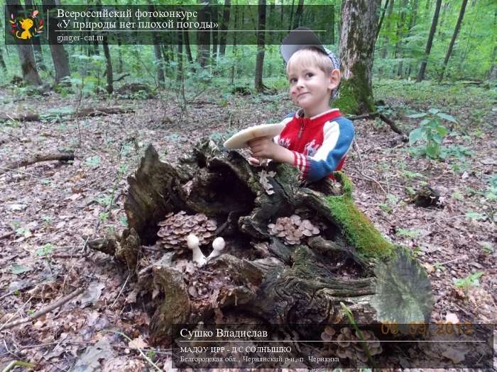 Всероссийский фотоконкурс «У природы нет плохой погоды»  - детский рисунок, поделка, творческая работа, категория дошкольники, детский сад, дистанционный конкурс, школьный конкурс