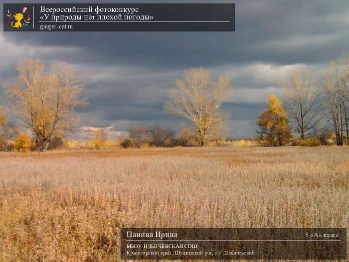 Всероссийский фотоконкурс. У природы нет плохой погоды и в октябре. У природы нет плохой погоды кто поет. У природы нет плохой погоды караоке. Фон для презентации у природы нет плохой погоды.