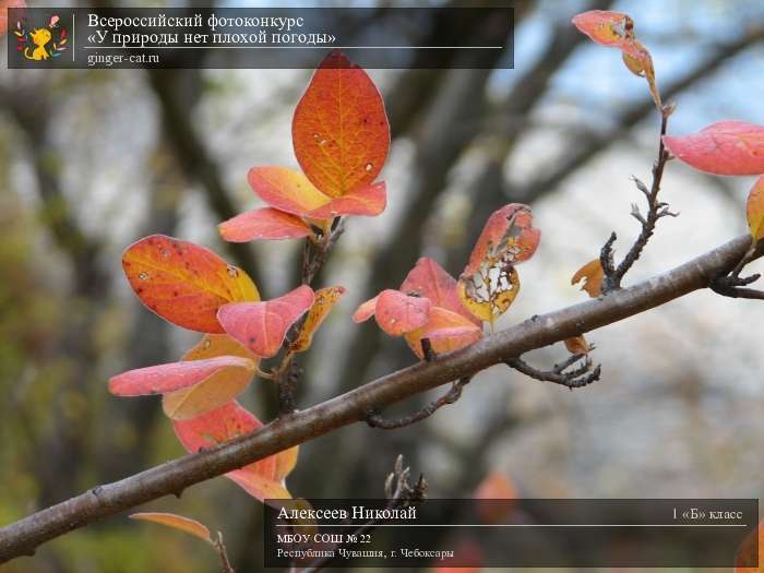 Всероссийский фотоконкурс «У природы нет плохой погоды»  - детский рисунок, поделка, творческая работа, категория школьники, 1 класс, дистанционный конкурс, школьный конкурс