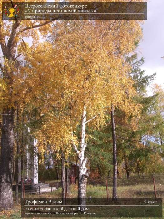 Всероссийский фотоконкурс «У природы нет плохой погоды»  - детский рисунок, поделка, творческая работа, категория школьники, 5 класс, дистанционный конкурс, школьный конкурс