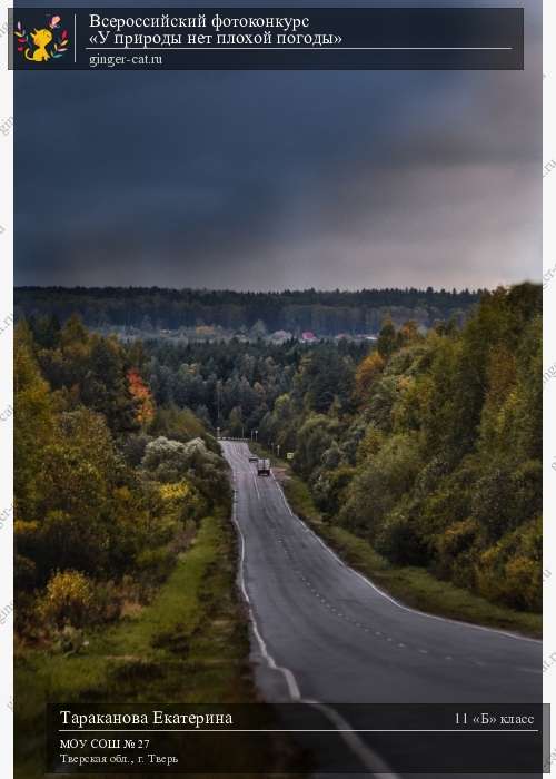 Всероссийский фотоконкурс «У природы нет плохой погоды»  - детский рисунок, поделка, творческая работа, категория школьники, 11 класс, дистанционный конкурс, школьный конкурс