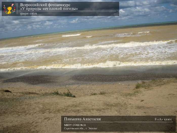 Всероссийский фотоконкурс «У природы нет плохой погоды»  - детский рисунок, поделка, творческая работа, категория школьники, 9 класс, дистанционный конкурс, школьный конкурс