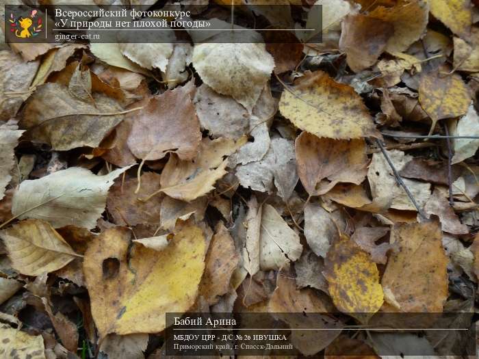 Всероссийский фотоконкурс «У природы нет плохой погоды»  - детский рисунок, поделка, творческая работа, категория дошкольники, детский сад, дистанционный конкурс, школьный конкурс