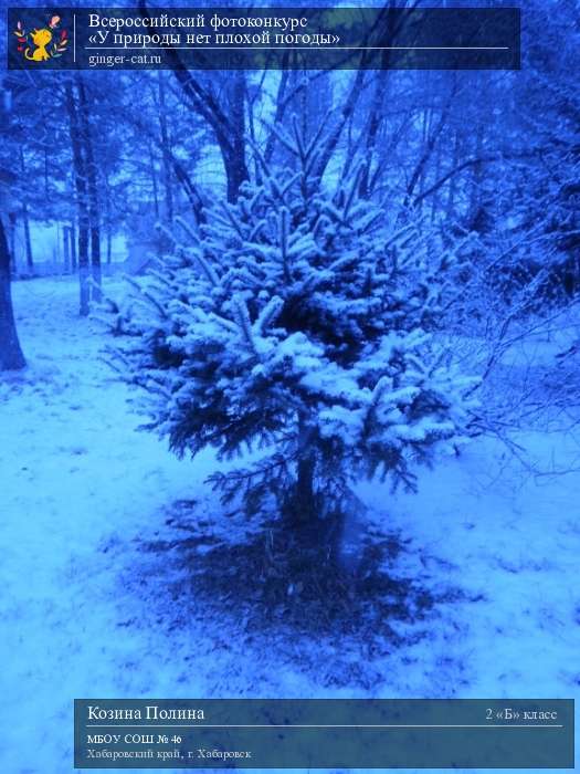 Всероссийский фотоконкурс «У природы нет плохой погоды»  - детский рисунок, поделка, творческая работа, категория школьники, 2 класс, дистанционный конкурс, школьный конкурс