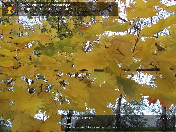 Всероссийский фотоконкурс «У природы нет плохой погоды»  - детский рисунок, поделка, творческая работа, категория школьники, 4 класс, дистанционный конкурс, школьный конкурс