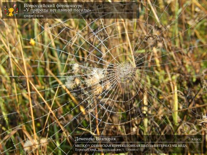 Всероссийский фотоконкурс «У природы нет плохой погоды»  - детский рисунок, поделка, творческая работа, категория школьники, 7 класс, дистанционный конкурс, школьный конкурс