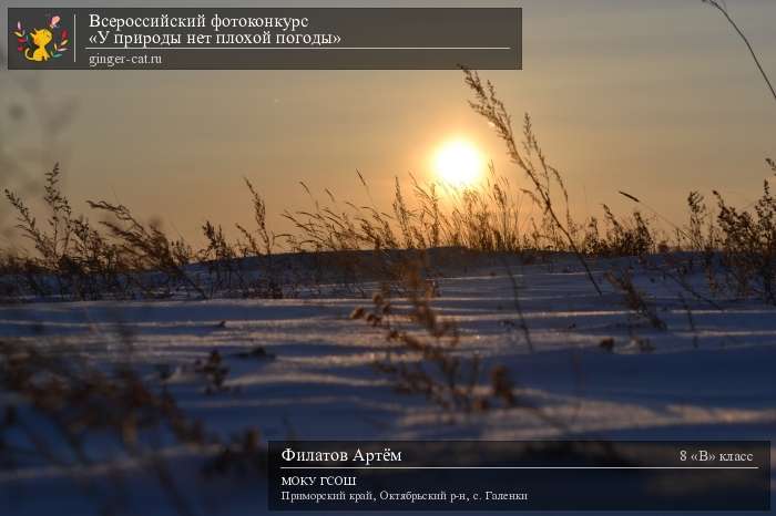 Всероссийский фотоконкурс «У природы нет плохой погоды»  - детский рисунок, поделка, творческая работа, категория школьники, 8 класс, дистанционный конкурс, школьный конкурс