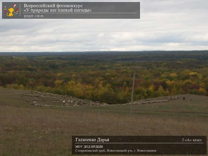 Всероссийский фотоконкурс «У природы нет плохой погоды»  - детский рисунок, поделка, творческая работа, категория школьники, 2 класс, дистанционный конкурс, школьный конкурс