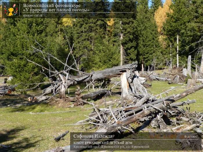 Всероссийский фотоконкурс «У природы нет плохой погоды»  - детский рисунок, поделка, творческая работа, категория школьники, 6 класс, дистанционный конкурс, школьный конкурс