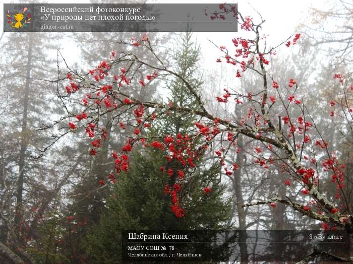 Всероссийский фотоконкурс «У природы нет плохой погоды»  - детский рисунок, поделка, творческая работа, категория школьники, 8 класс, дистанционный конкурс, школьный конкурс