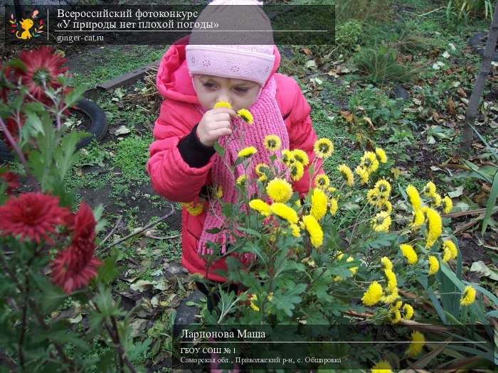 Всероссийский фотоконкурс «У природы нет плохой погоды»  - детский рисунок, поделка, творческая работа, категория дошкольники, детский сад, дистанционный конкурс, школьный конкурс