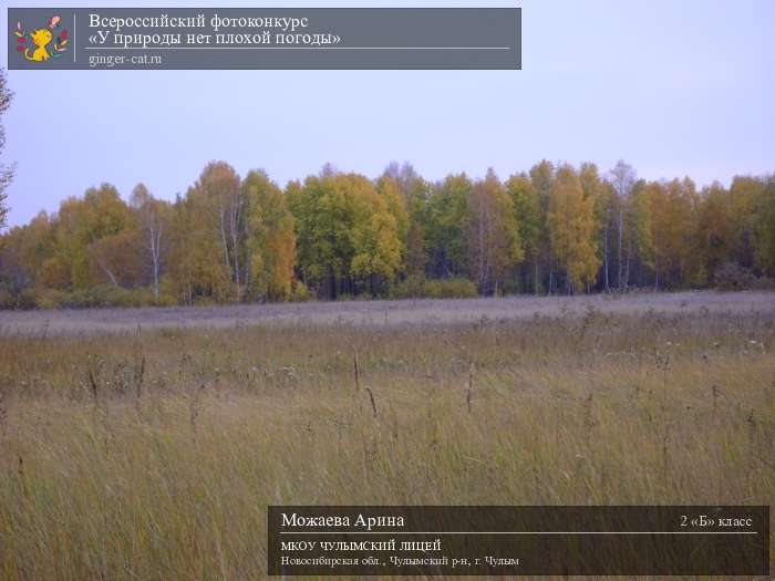 Всероссийский фотоконкурс «У природы нет плохой погоды»  - детский рисунок, поделка, творческая работа, категория школьники, 2 класс, дистанционный конкурс, школьный конкурс