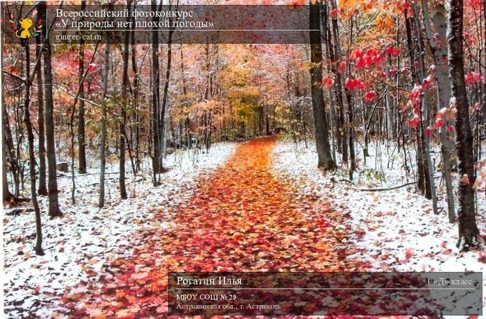 Всероссийский фотоконкурс «У природы нет плохой погоды»  - детский рисунок, поделка, творческая работа, категория школьники, 1 класс, дистанционный конкурс, школьный конкурс