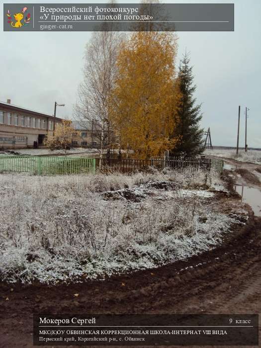 Всероссийский фотоконкурс «У природы нет плохой погоды»  - детский рисунок, поделка, творческая работа, категория школьники, 9 класс, дистанционный конкурс, школьный конкурс