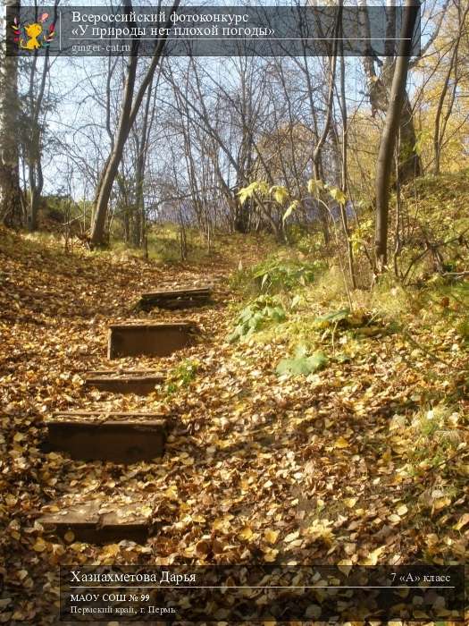 Всероссийский фотоконкурс «У природы нет плохой погоды»  - детский рисунок, поделка, творческая работа, категория школьники, 7 класс, дистанционный конкурс, школьный конкурс