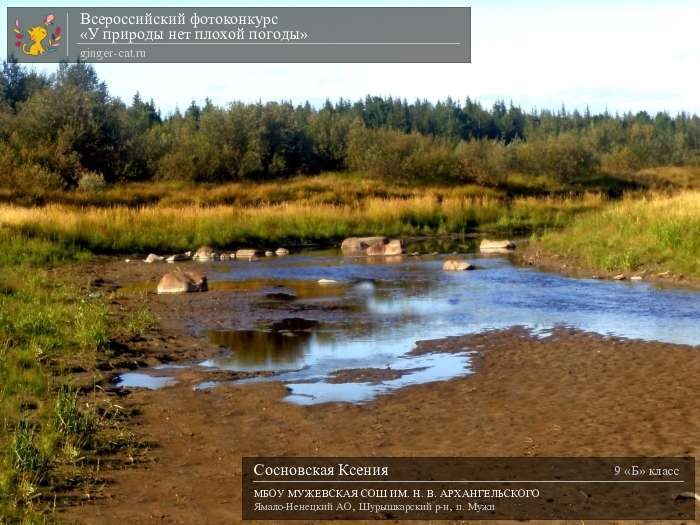 Всероссийский фотоконкурс «У природы нет плохой погоды»  - детский рисунок, поделка, творческая работа, категория школьники, 9 класс, дистанционный конкурс, школьный конкурс