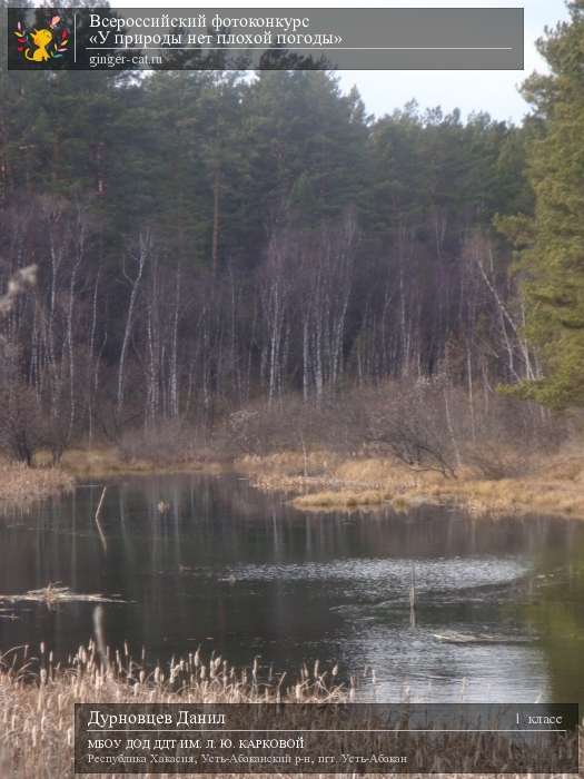 Всероссийский фотоконкурс «У природы нет плохой погоды»  - детский рисунок, поделка, творческая работа, категория школьники, 1 класс, дистанционный конкурс, школьный конкурс