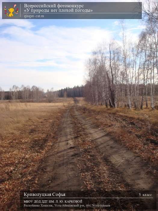 Всероссийский фотоконкурс «У природы нет плохой погоды»  - детский рисунок, поделка, творческая работа, категория школьники, 5 класс, дистанционный конкурс, школьный конкурс